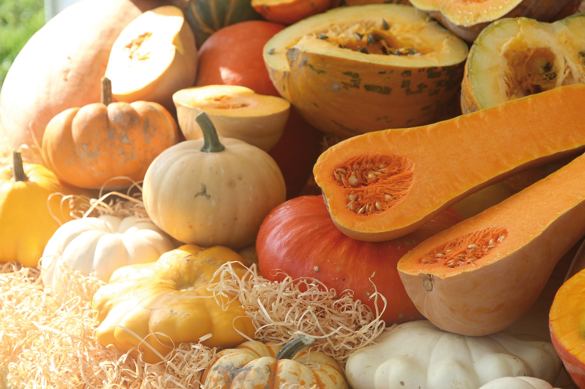 Avec les variétés de courges VOLTZ Maraîchage, faites le plein de couleurs au cœur de l’hiver !