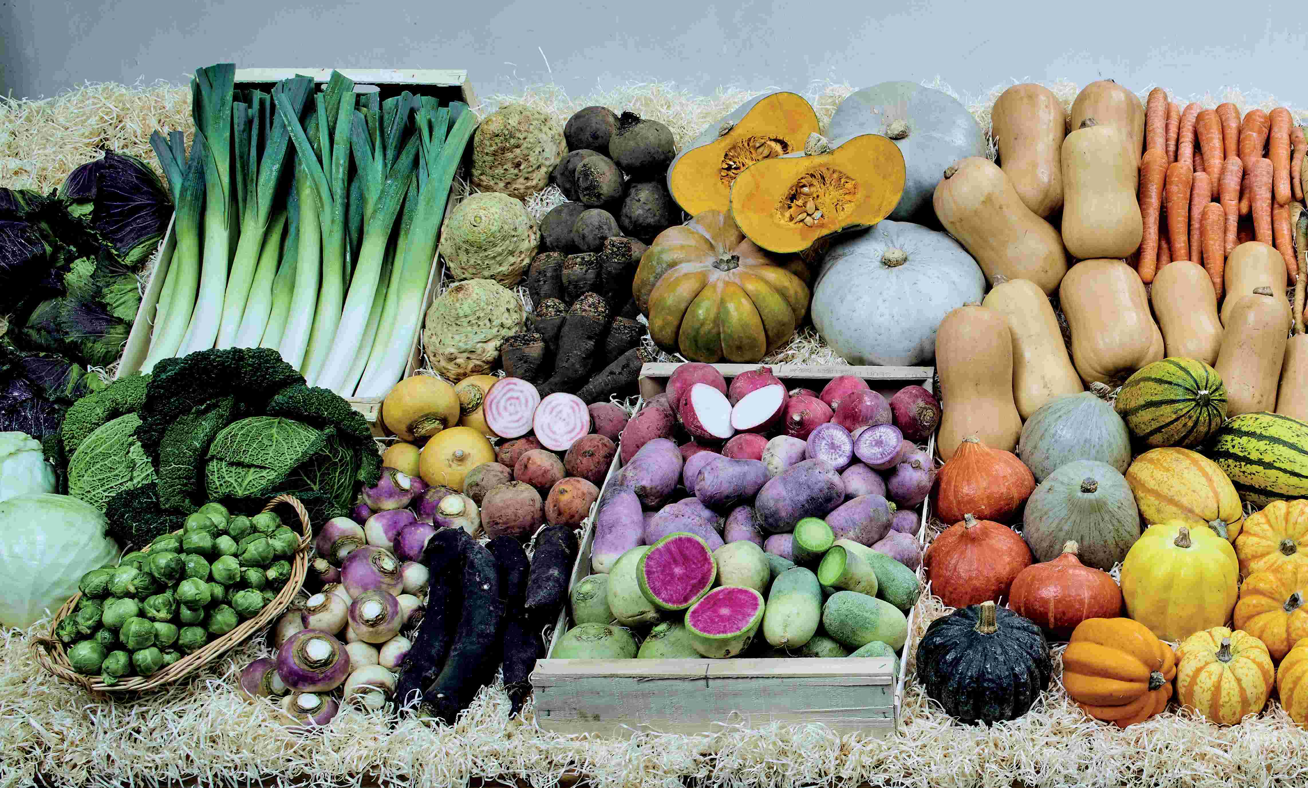 Tout savoir sur ces légumes de A à Z