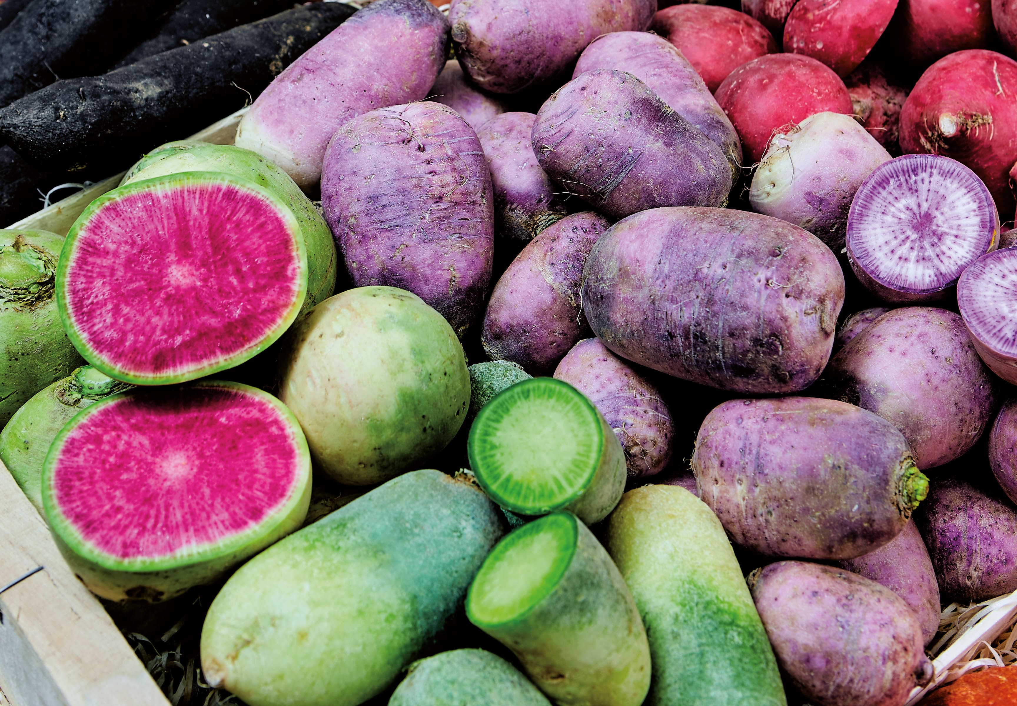 Des radis raves d’automne colorés pour égayer les étals
