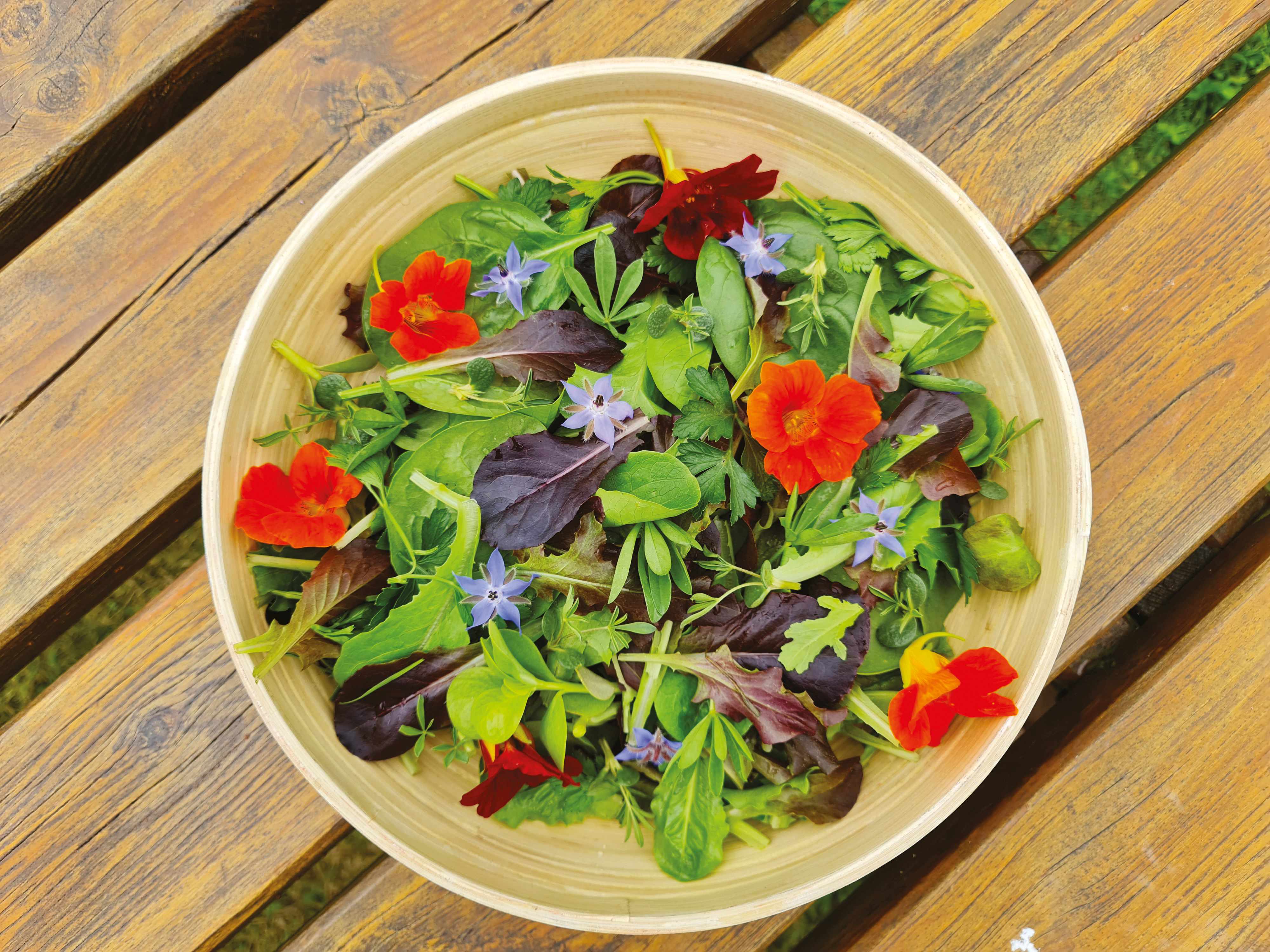 Salad Bar concept: les jeunes pousses en mélange pour doper les ventes de salades !