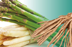 asperge