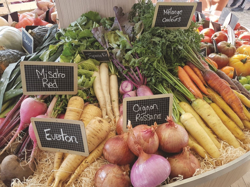 stand_legumes_racines