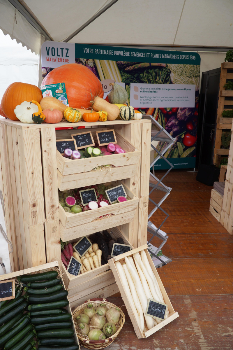 stand_tech_bio_voltz