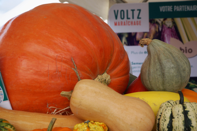 stand_tech_bio_voltz