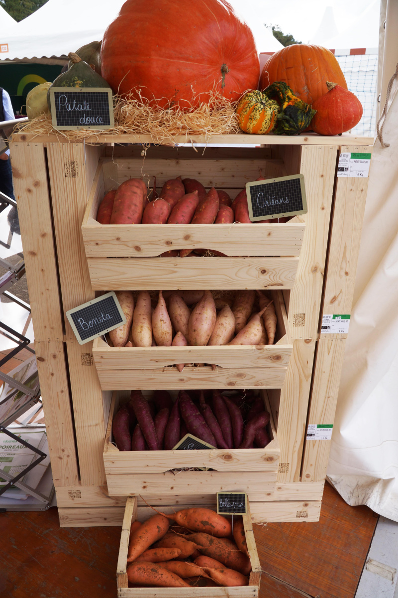 stand_tech_bio_voltz