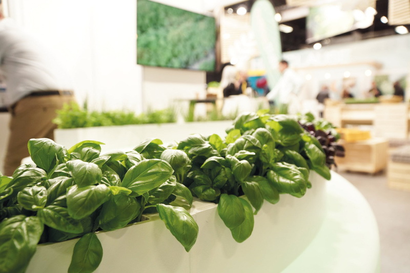 stand_voltz_maraichage